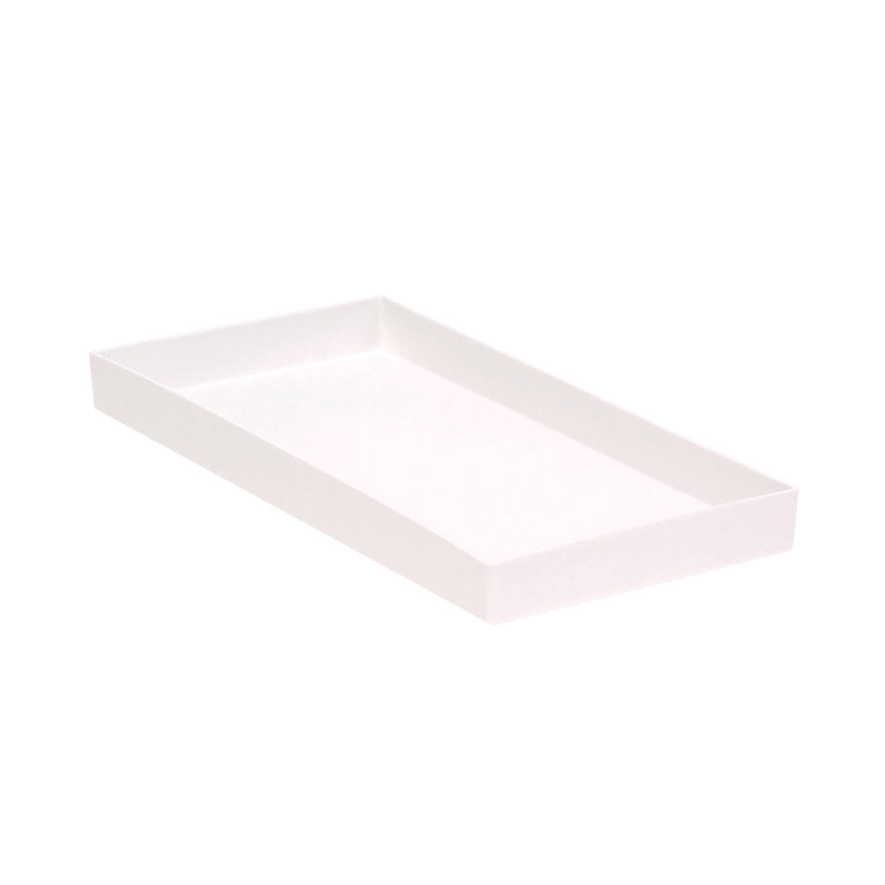 Tray Aufbewahrungs und Transportboxen Prophylaxe Praxis